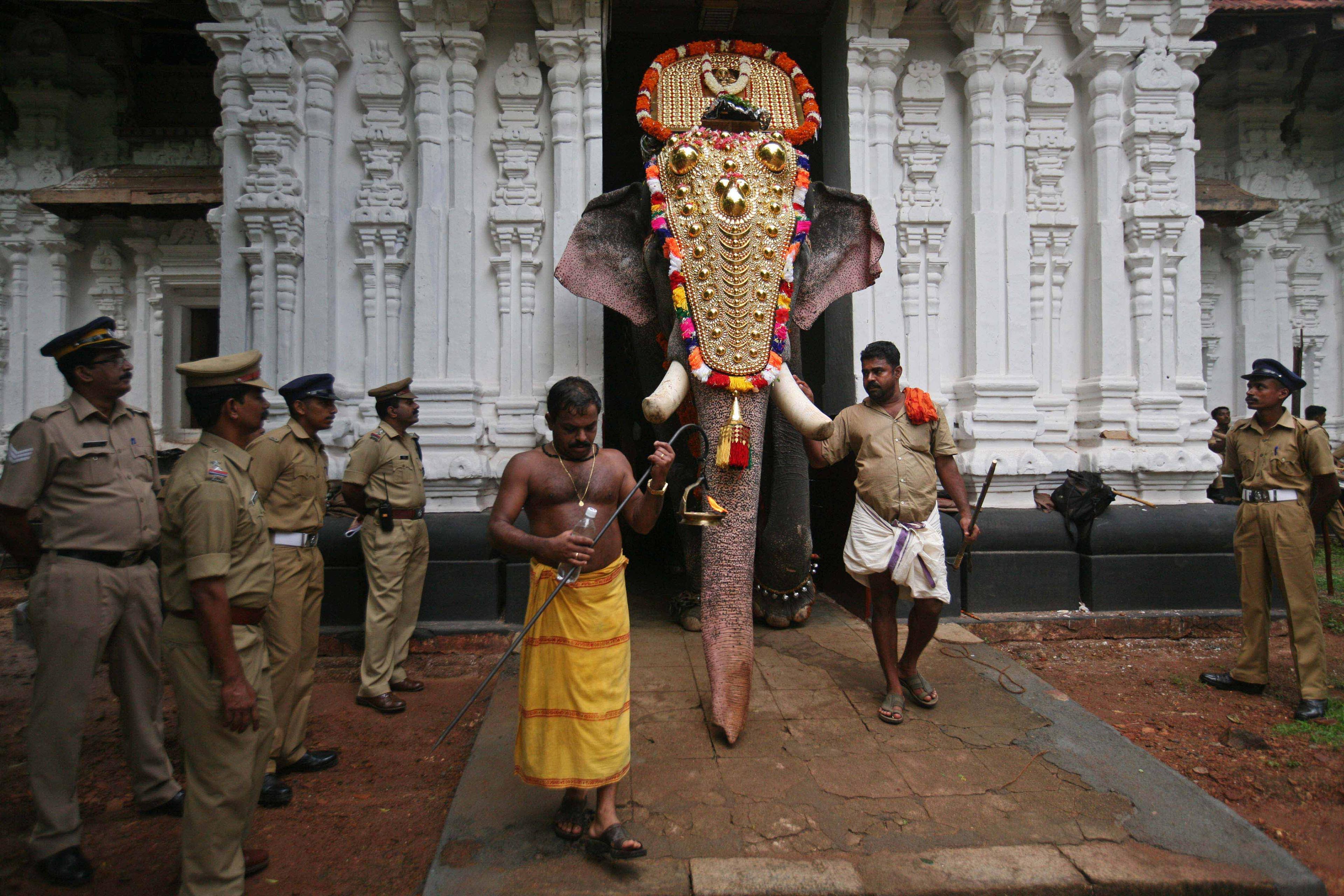 THE TRAGEDY OF A LEGENDARY ELEPHANT: RAMACHANDRAN